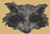 Symbole de Baervan, Collines Dorées