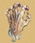 Symbole de Malar, Coeur de la Furie
